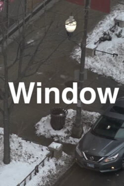 Window (2022)