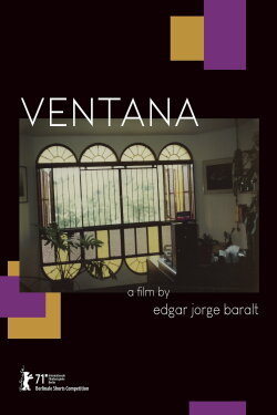 Window (2021)