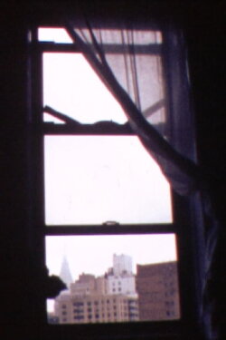Windows (1996)