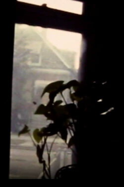 Windows (1984)