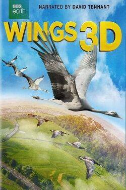 Wings 3D (2014) Wings 3D (2014)