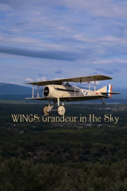 Wings: Grandeur in the Sky (2012) Wings: Grandeur in the Sky (2012)