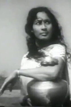 Wings of the Tern (1975)