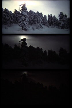 winter (bäume leuchten) (1991) winter (bäume leuchten) (1991)