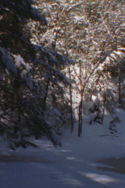 Winter Beyond Winter (2016)