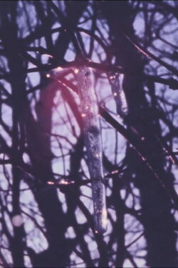 Winter Fence (1984) Winter Fence (1984)