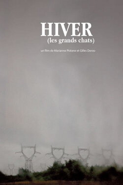 Winter (The Large Cats) (2008)