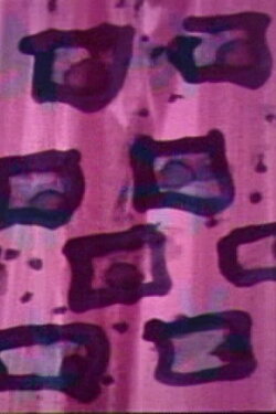Wipes (1964) Wipes (1964)