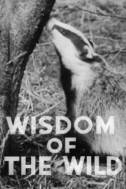 Wisdom of the Wild (1940) Wisdom of the Wild (1940)
