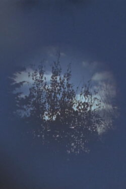 Within (2012)