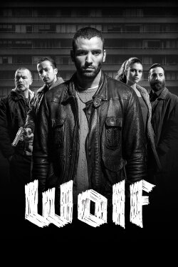 Wolf (2013) Wolf (2013)