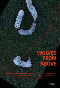 Wolves From Above (2017) Wolves From Above (2017)