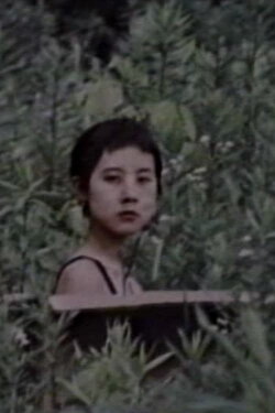 Woman of the Desk (1993)