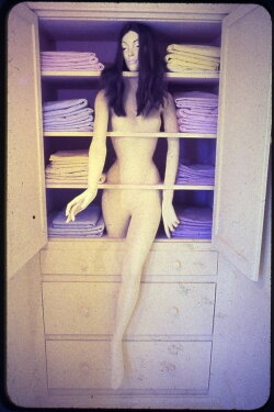 Womanhouse (1974) Womanhouse (1974)