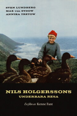 Wonderful Adventures of Nils (1962) Wonderful Adventures of Nils (1962)
