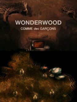 Wonderwood: Comme des garçons (2010) Wonderwood: Comme des garçons (2010)