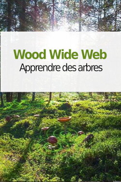 Wood Wide Web - Learning from Trees (2021) Wood Wide Web - Learning from Trees (2021)