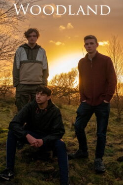 Woodland (2022) Woodland (2022)