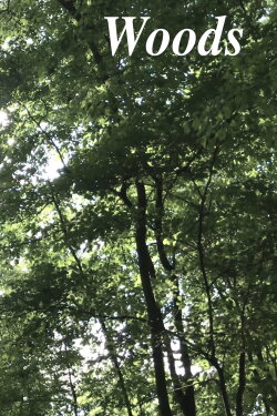 Woods (2019)
