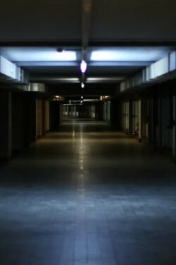 Workers Leaving the Factory (again) (2012) Workers Leaving the Factory (again) (2012)