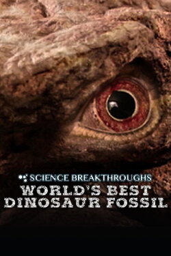 World's Best Dinosaur Fossil (2017) World's Best Dinosaur Fossil (2017)