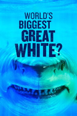 World's Biggest Great White? (2019)