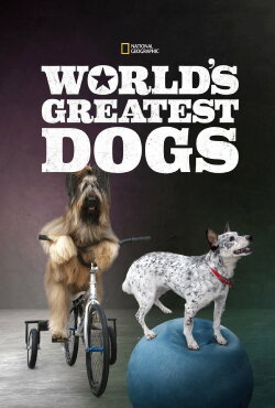 World's Greatest Dogs (2015) World's Greatest Dogs (2015)