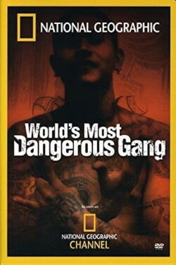 World's Most Dangerous Gang (2005) World's Most Dangerous Gang (2005)