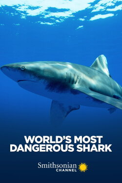 World's Most Dangerous Shark (2020) World's Most Dangerous Shark (2020)