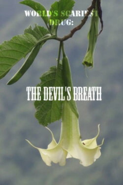 World's Scariest Drug: The Devil's Breath (2012) World's Scariest Drug: The Devil's Breath (2012)