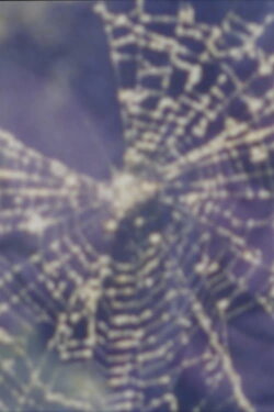 Worm and Web Love (1999) Worm and Web Love (1999)