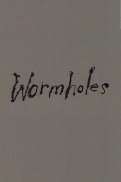 Wormholes (1992)