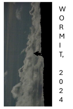 WORMIT, 2024 (2024)