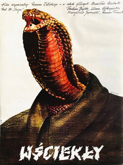 Wściekły (1980) Wściekły (1980)