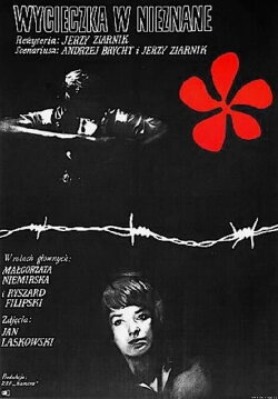 Wycieczka w nieznane (1968) Wycieczka w nieznane (1968)