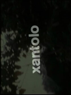Xantolo, fiesta de la muerte (1973) Xantolo, fiesta de la muerte (1973)