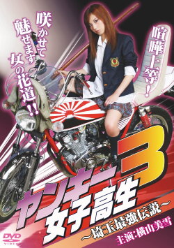 Yankee High School Girl 3 ~Saitama's Greatest Legend~ (2010) Yankee High School Girl 3 ~Saitama's Greatest Legend~ (2010)