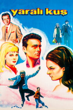 Yaralı Kuş (1967) Yaralı Kuş (1967)