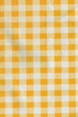 yellow gingham (2020)