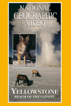Yellowstone: Realm of the Coyote (1995) Yellowstone: Realm of the Coyote (1995)