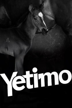 Yetimo (2024)