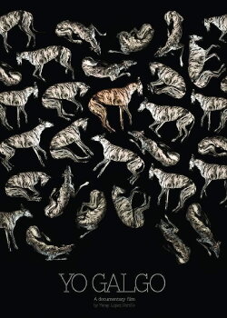 Yo Galgo (2018) Yo Galgo (2018)
