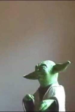 ‘Yoda’ (2004)