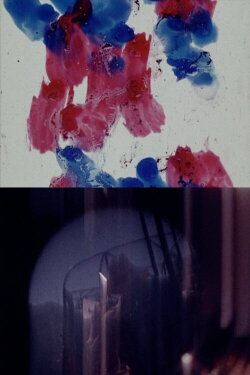 You Can See (1981)