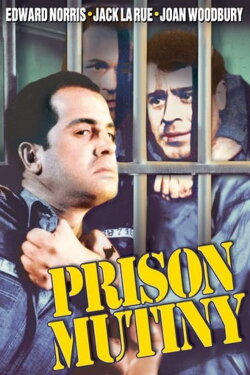 You Can't Beat the Law (1943) You Can't Beat the Law (1943)