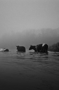 You River (2024) You River (2024)