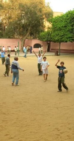 Young Arabs (2008)
