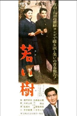 Young Tree (1956) Young Tree (1956)