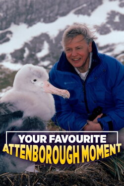 Your Favourite Attenborough Moment (2006) Your Favourite Attenborough Moment (2006)