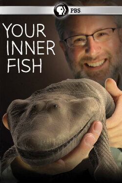 Your Inner Fish (2014) Your Inner Fish (2014)
